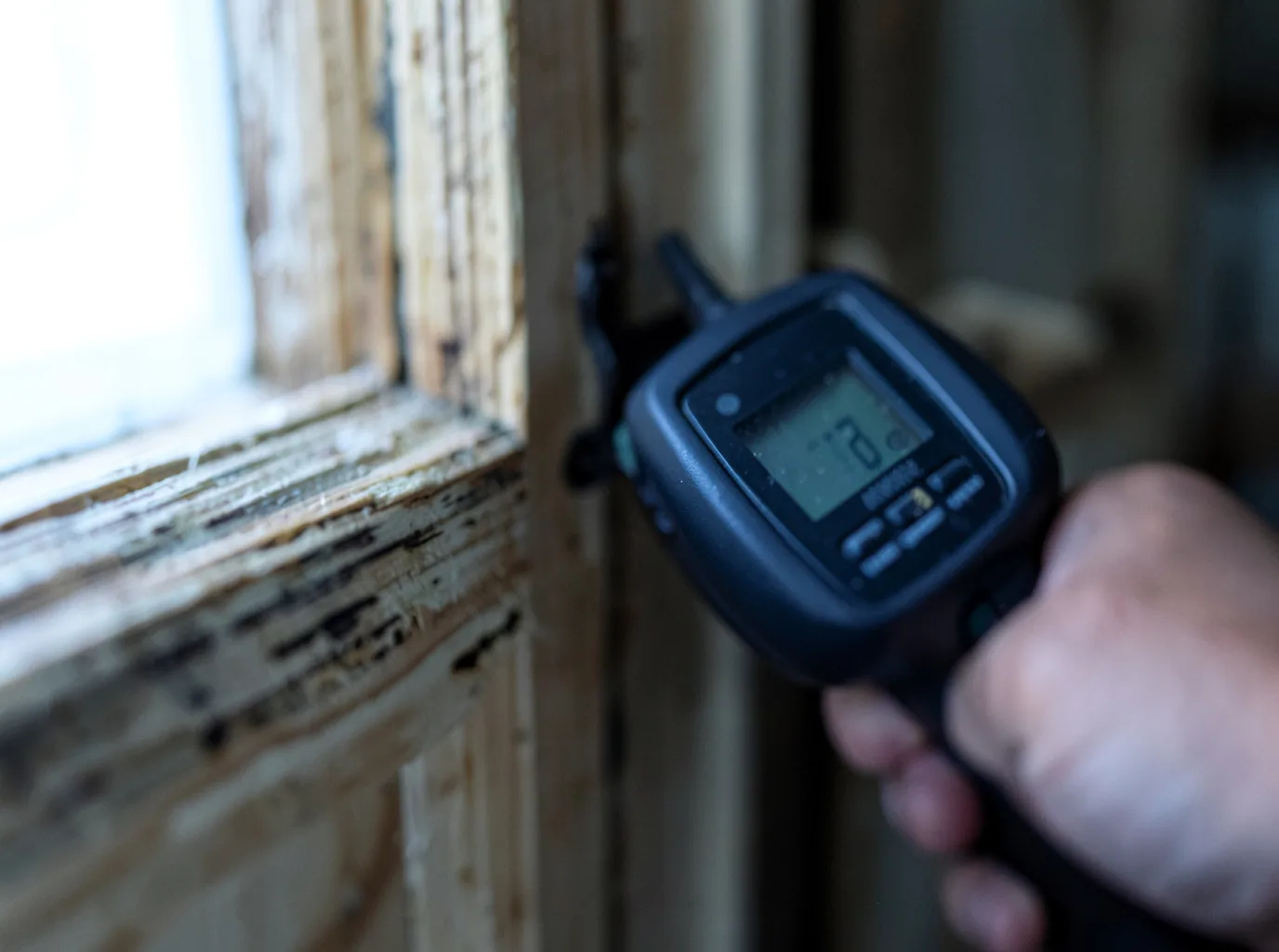 Moisture Inspection And Documentation in Howells, NY